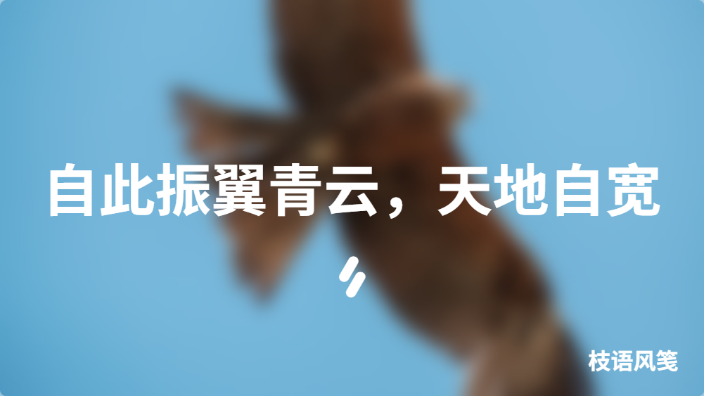 自此振翼青云，天地自宽